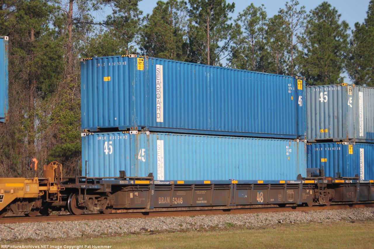 BRAN 5246