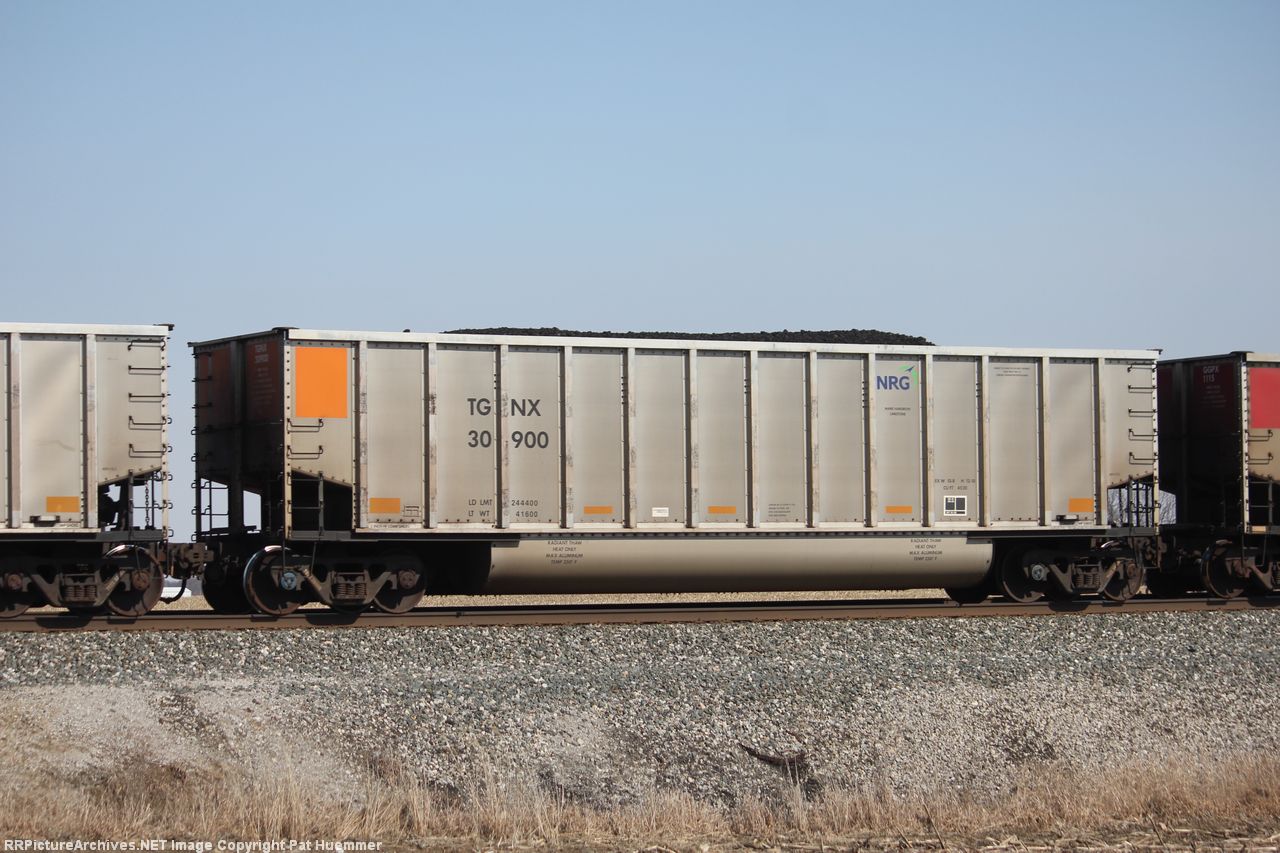 TGNX 30900