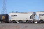 NS 236031