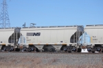 NS 236077