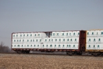BNSF 559521
