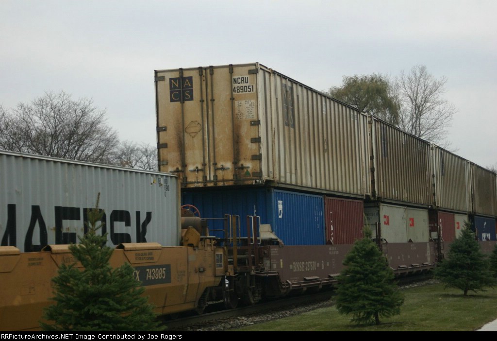 NCRU 489051