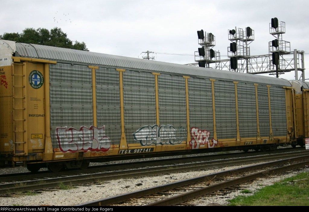 TTGX 987141