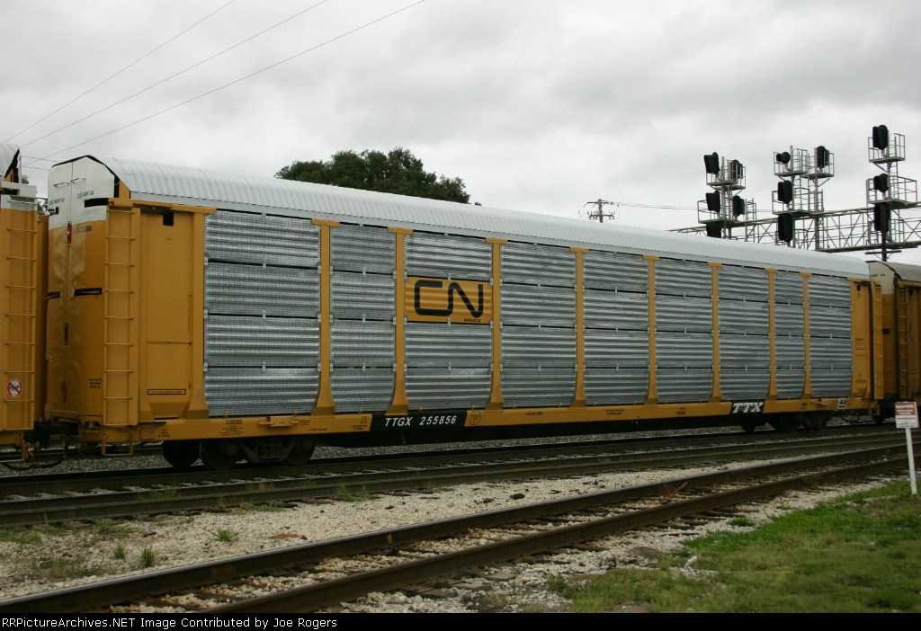 TTGX 255856