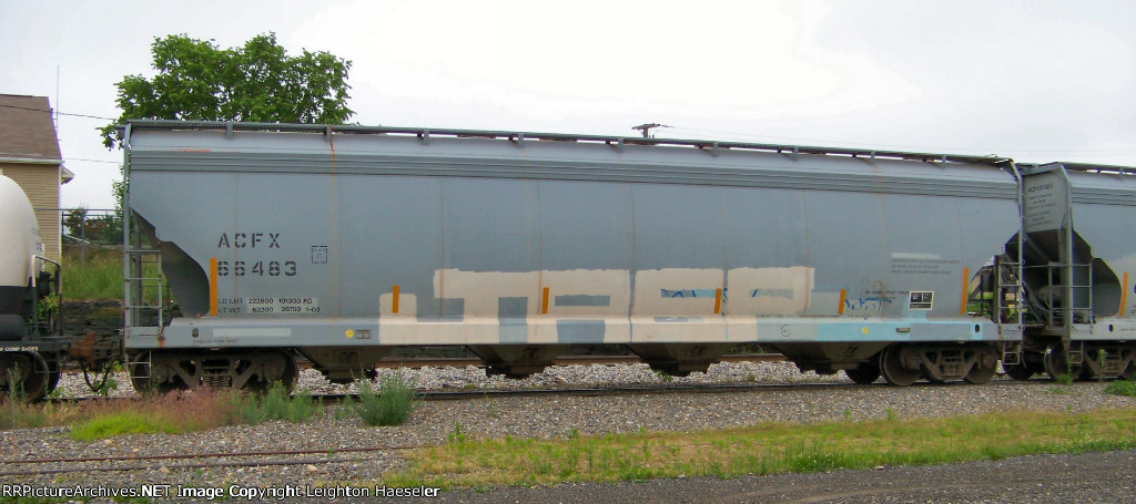 ACFX 66483