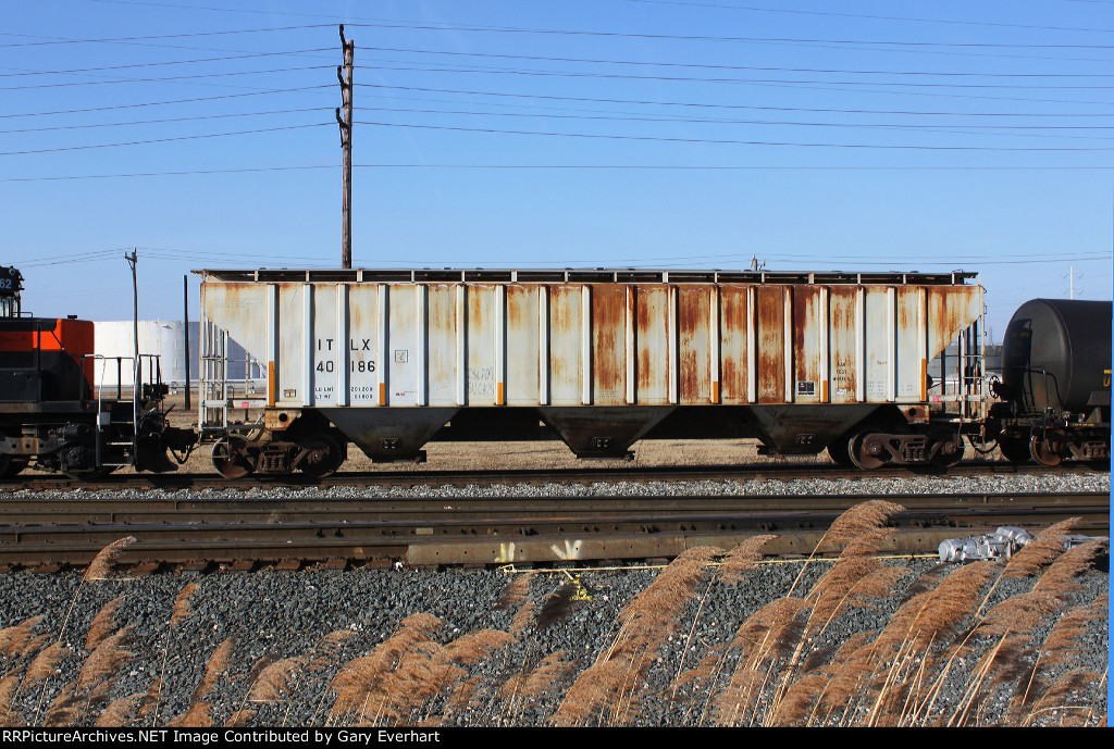 ITLX 40186