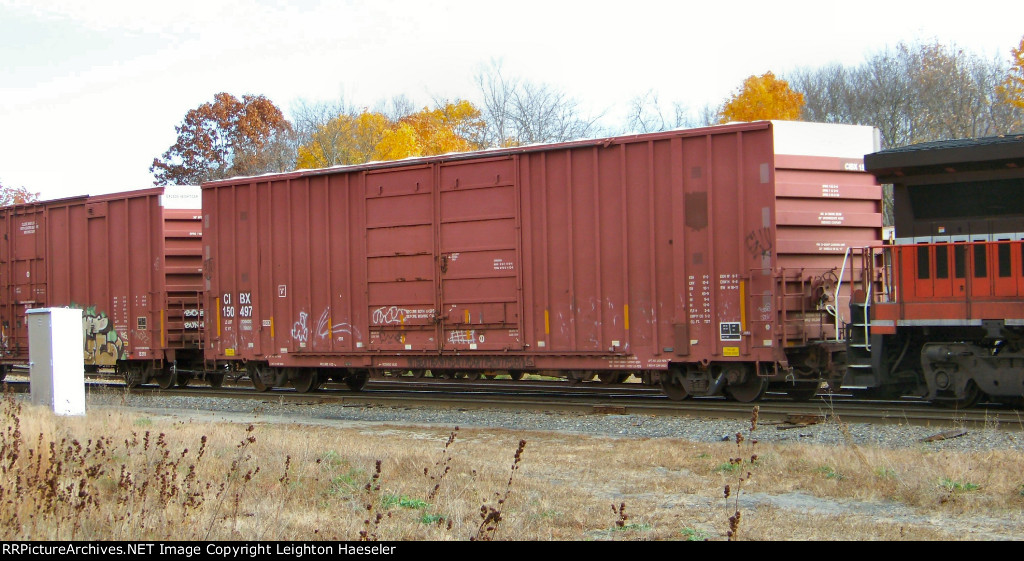 CIBX 150497