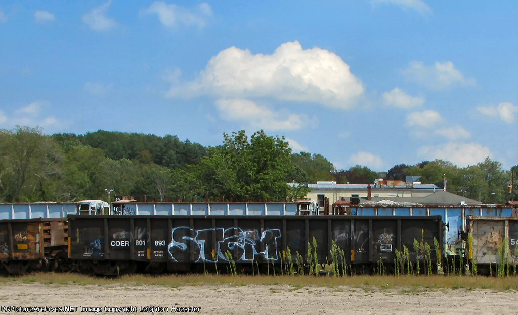 COER 801893