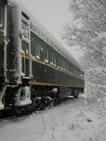 A heavy wet snow clings to diner Butternut Creek.