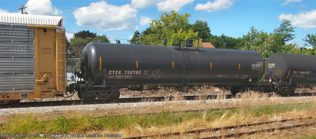CTCX 732782