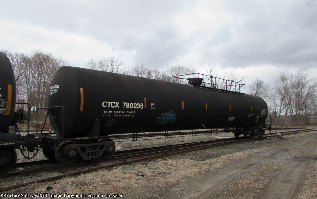 CTCX 780236