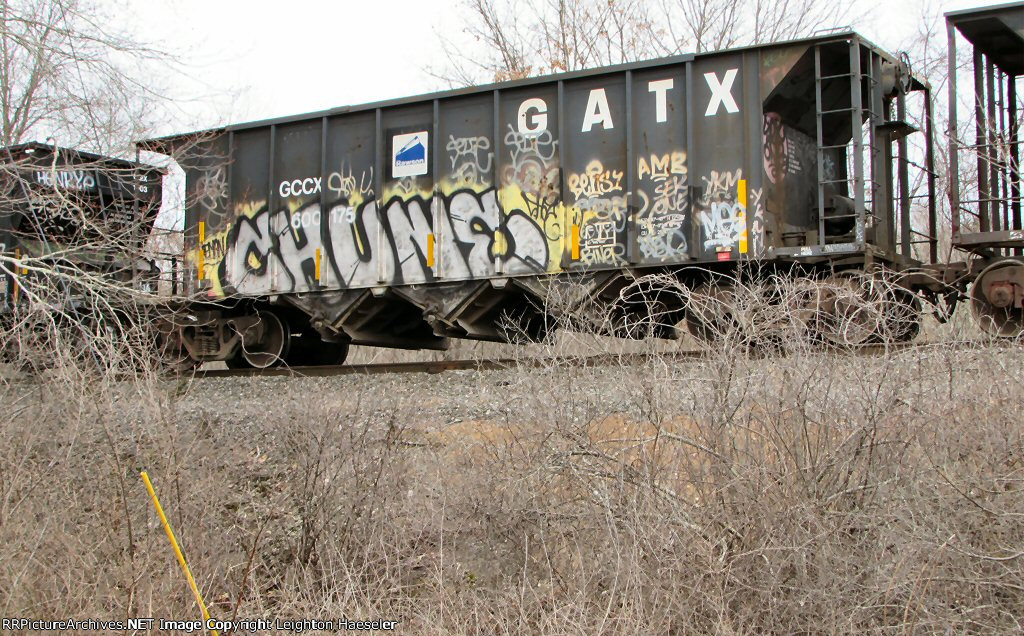 GCCX 600175