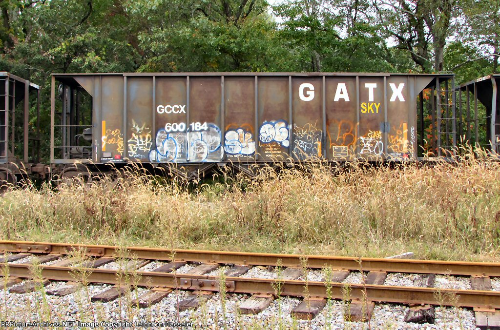 GCCX 600184