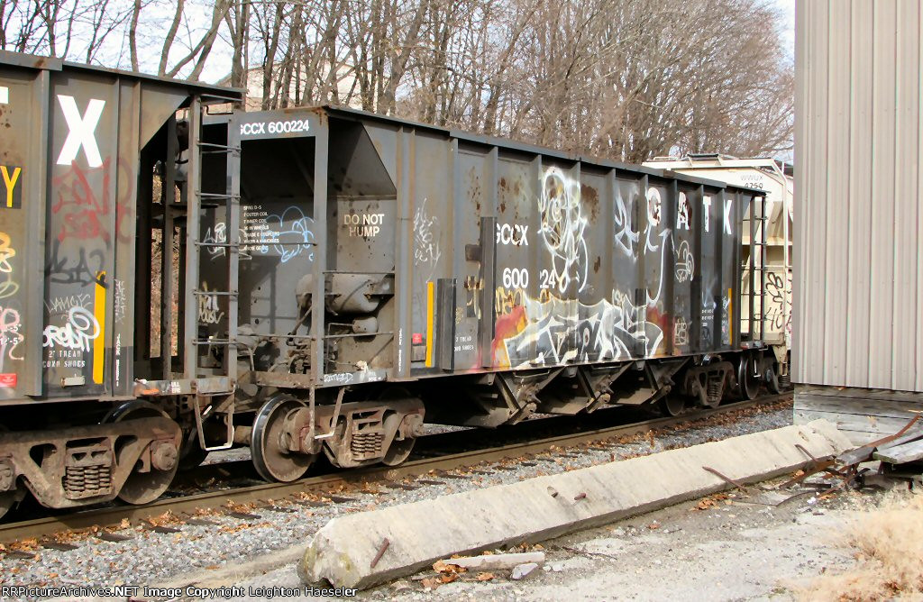 GCCX 600224