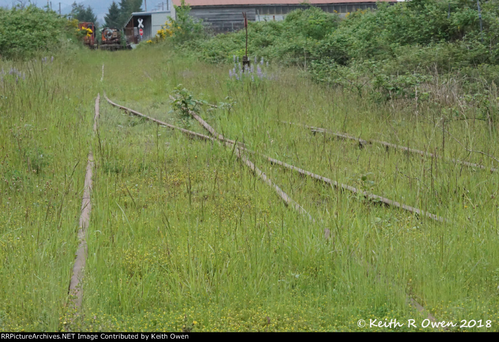 Former Port of Tillamook Bay Rails