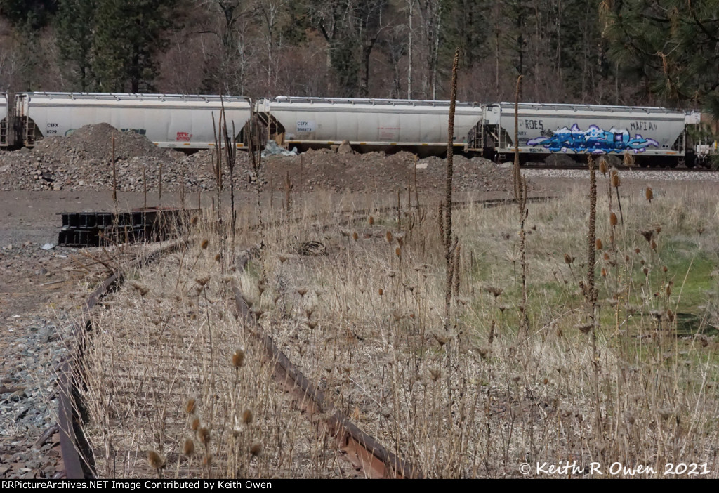 East Leg of Abandoned Wye
