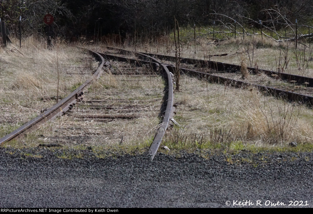 Tail Track of Abandoned Wye
