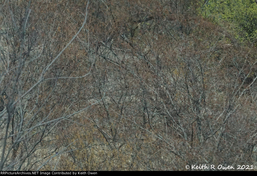 Abandoned UP Main to Spokane