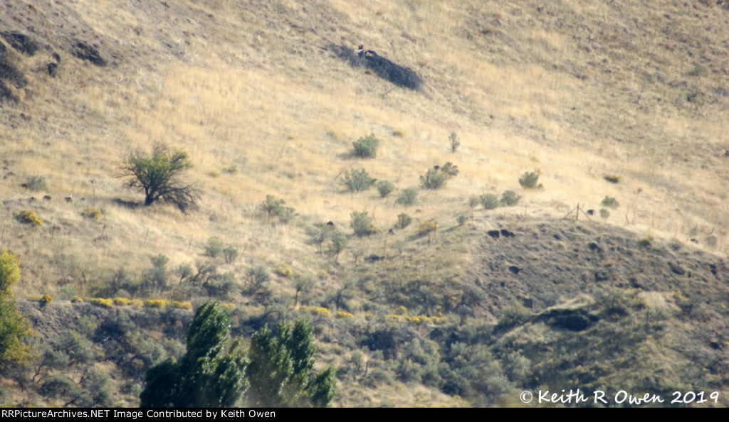 Deschutes Railway Right of Way