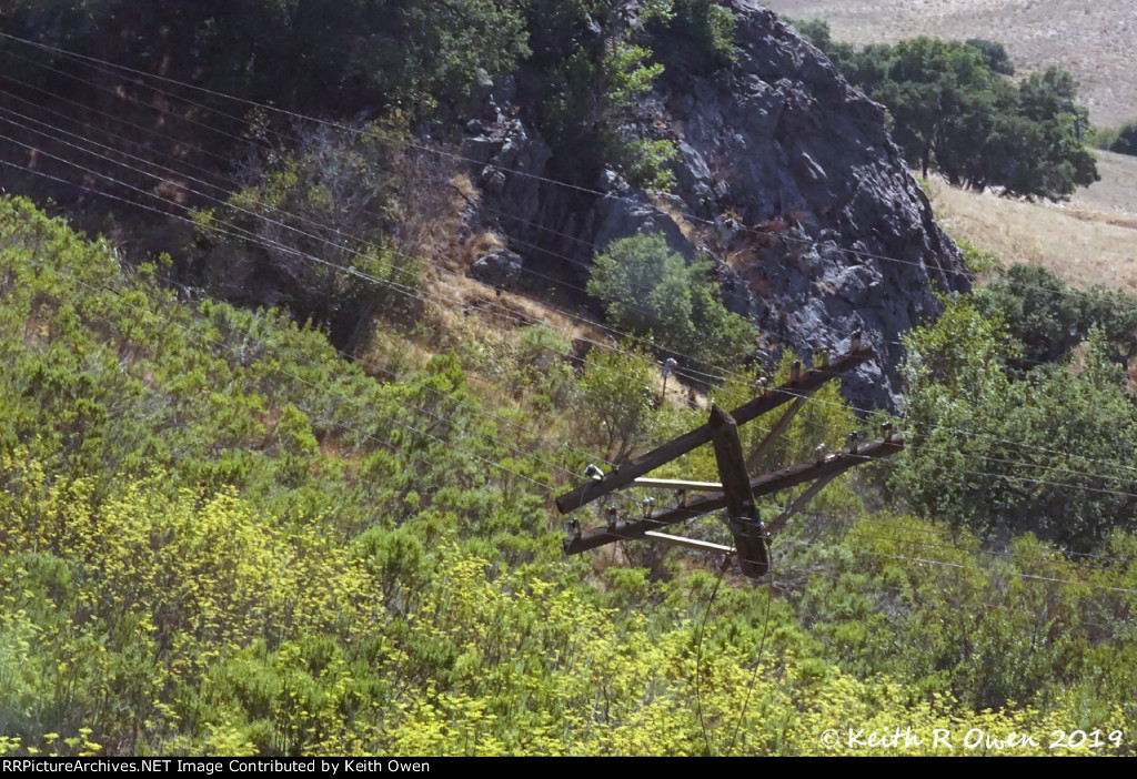 Abandoned Pole Line