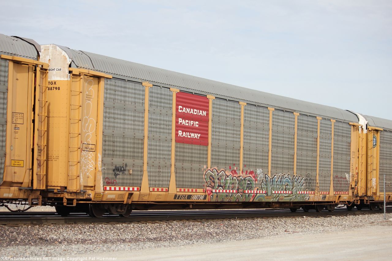 TTGX 988798