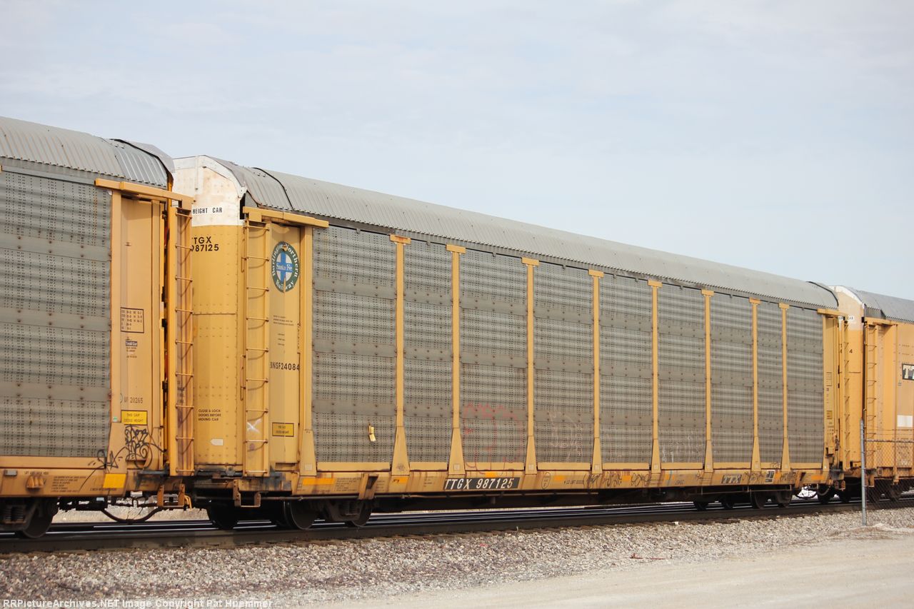 TTGX 987125