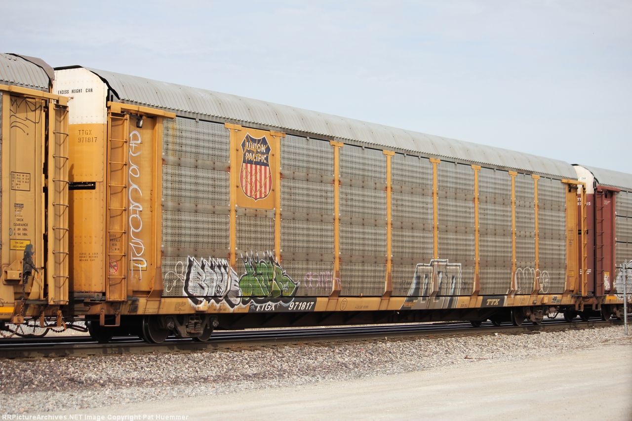TTGX 971817