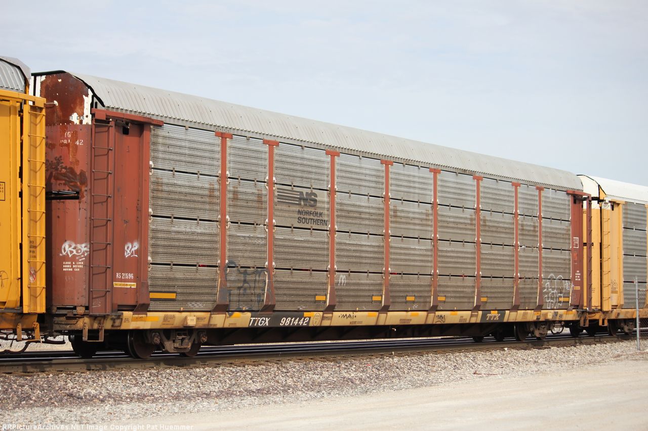 TTGX 981442