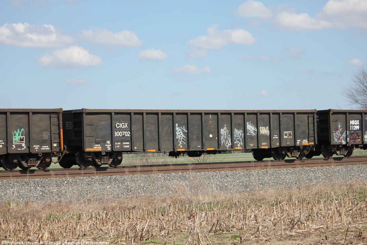 CIGX 300702
