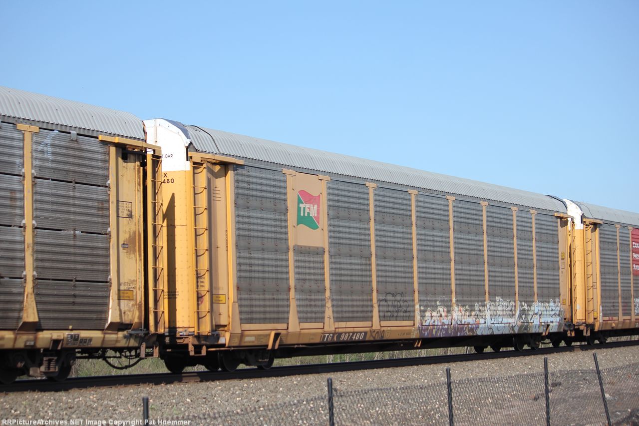 TTGX 987480