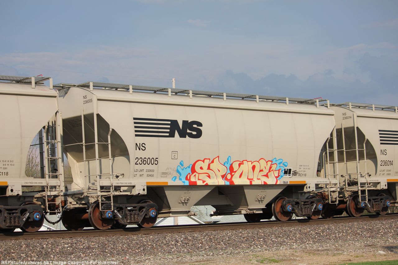NS 236005