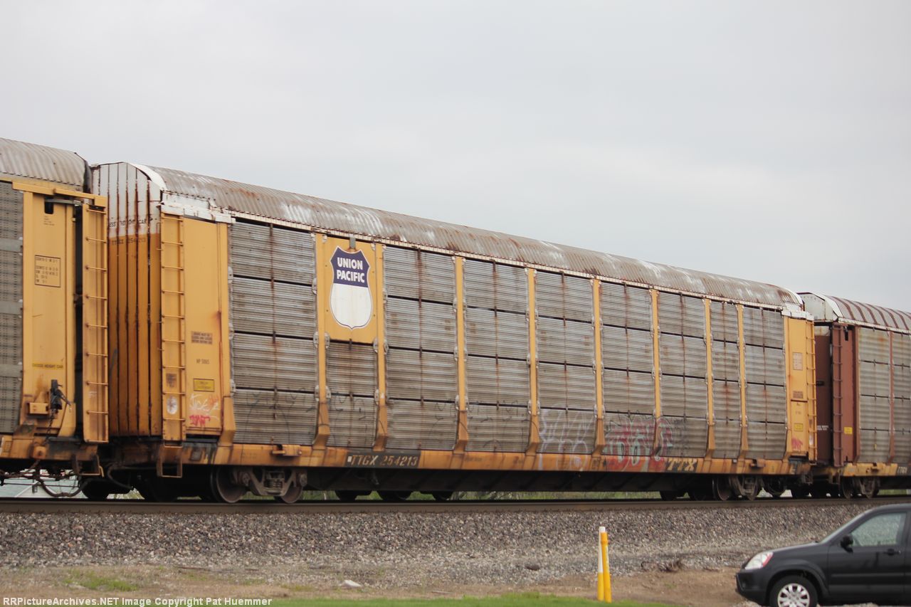 TTGX 254213