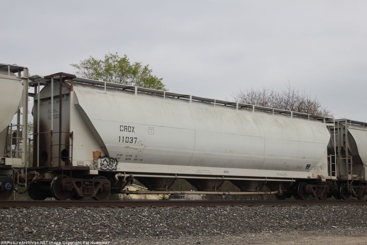 CRDX 11037