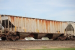 CGCX 20433