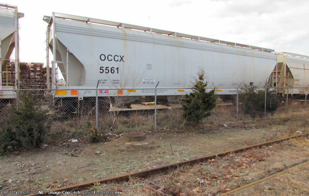 OCCX 5561