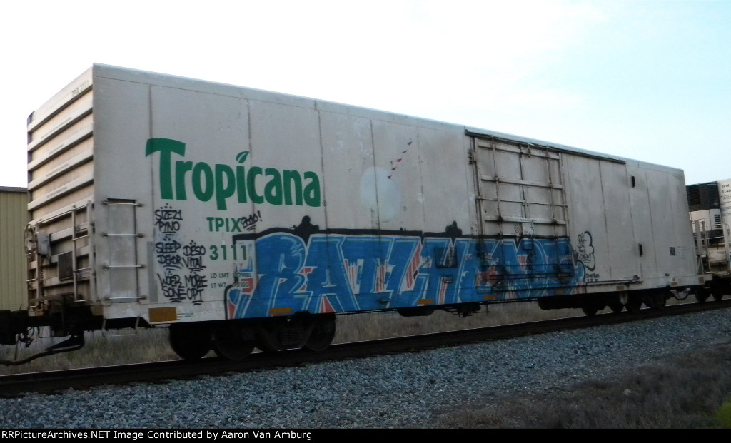TPIX 3111