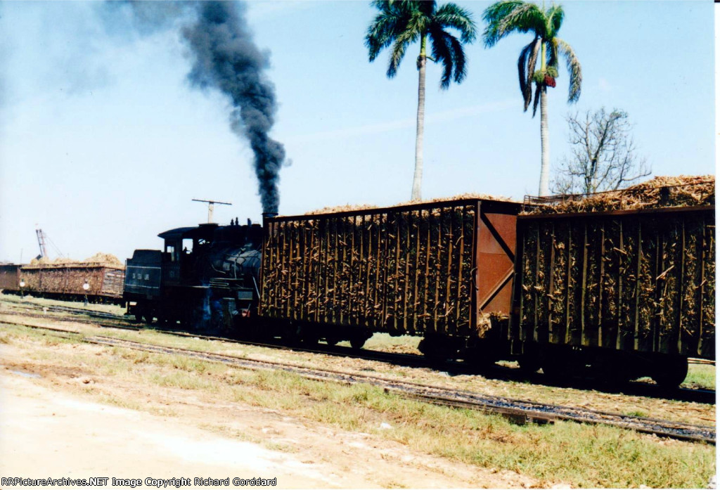Bringing sugar cane to the mill