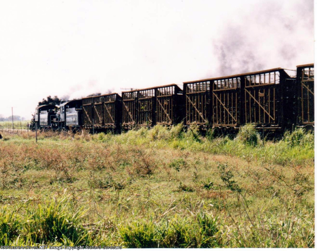 Sugar cane train 