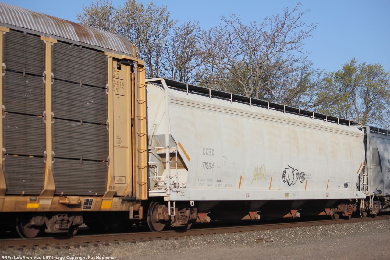 CCBX 71264