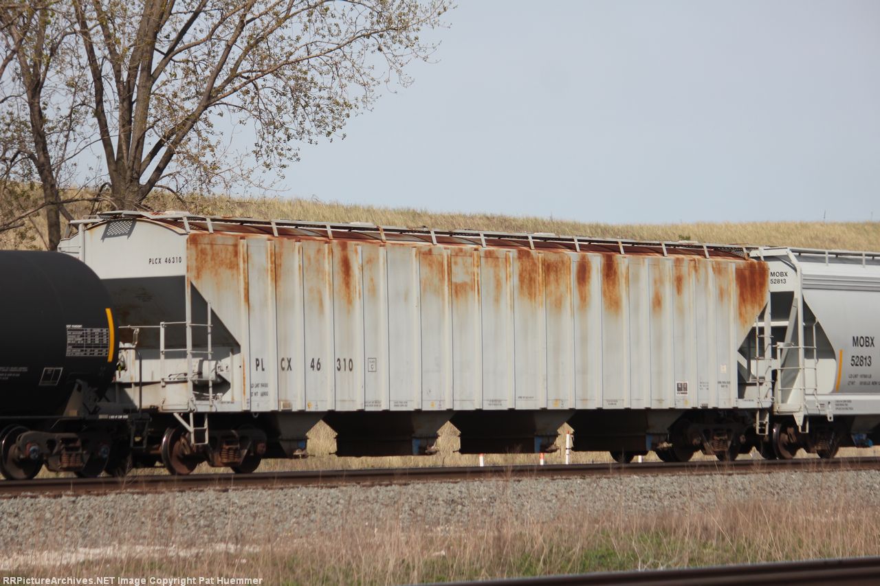 PLCX 46310