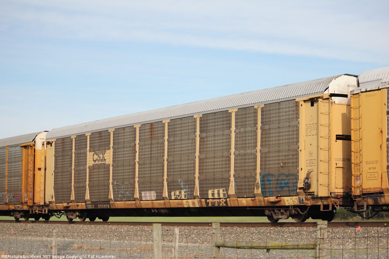 TTGX 255978