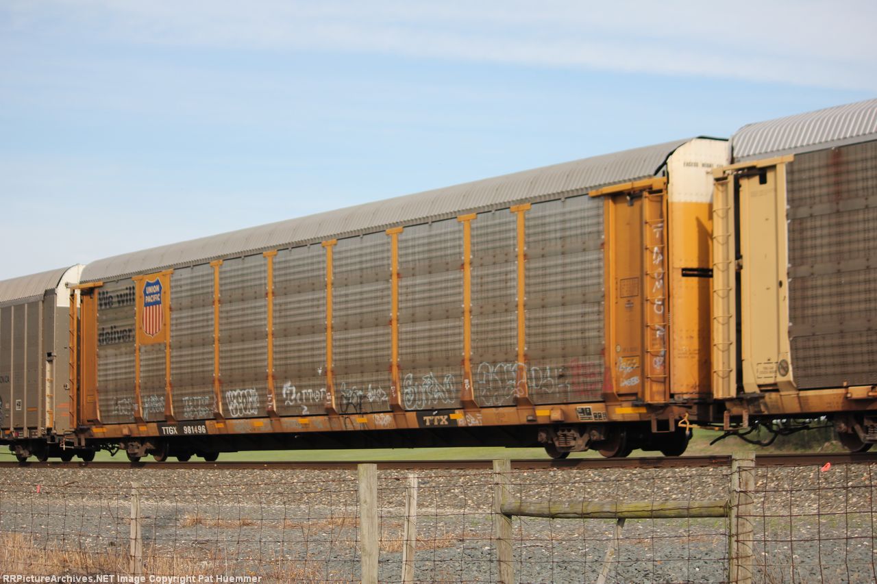 TTGX 981496