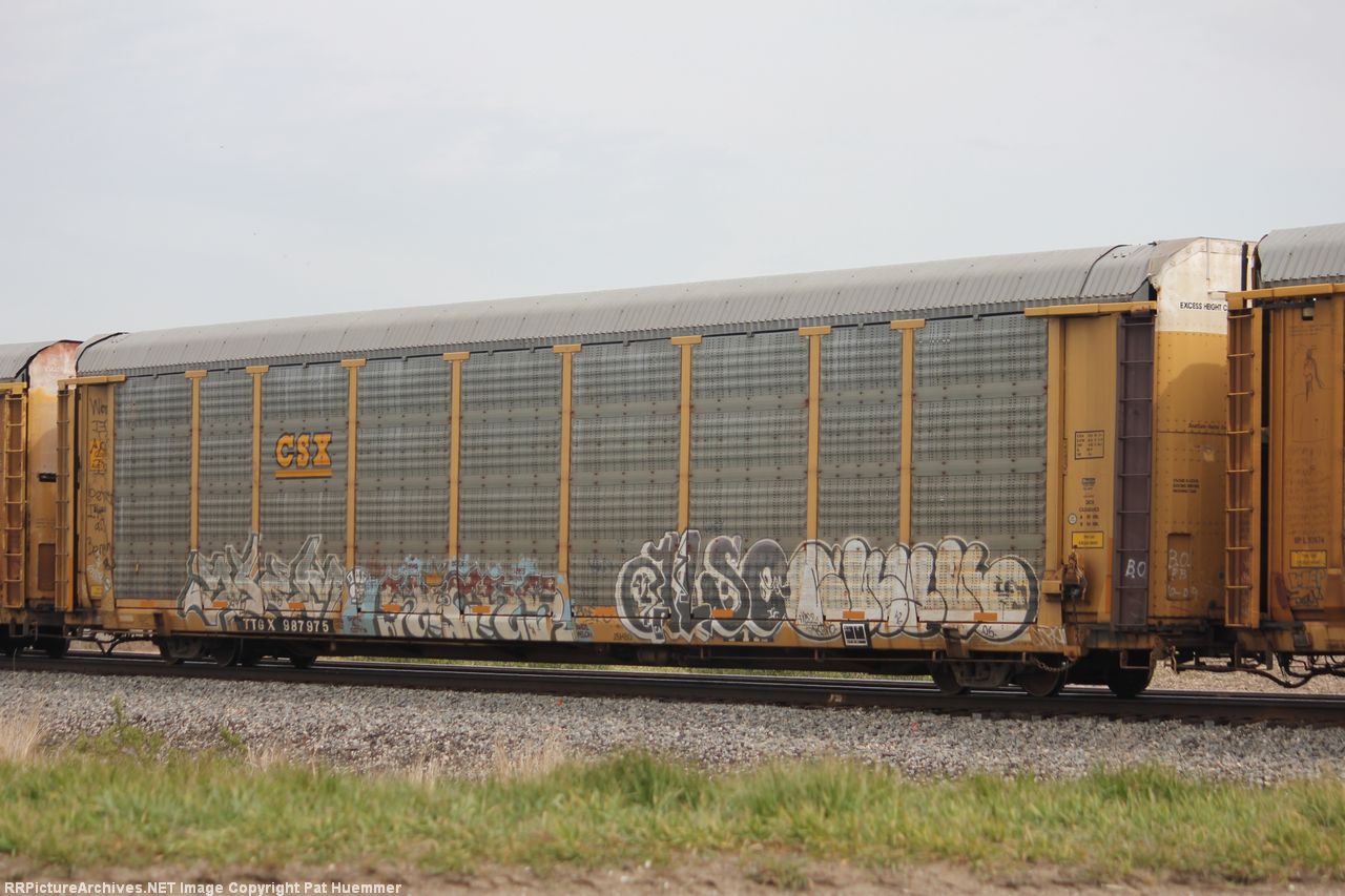 TTGX 987975
