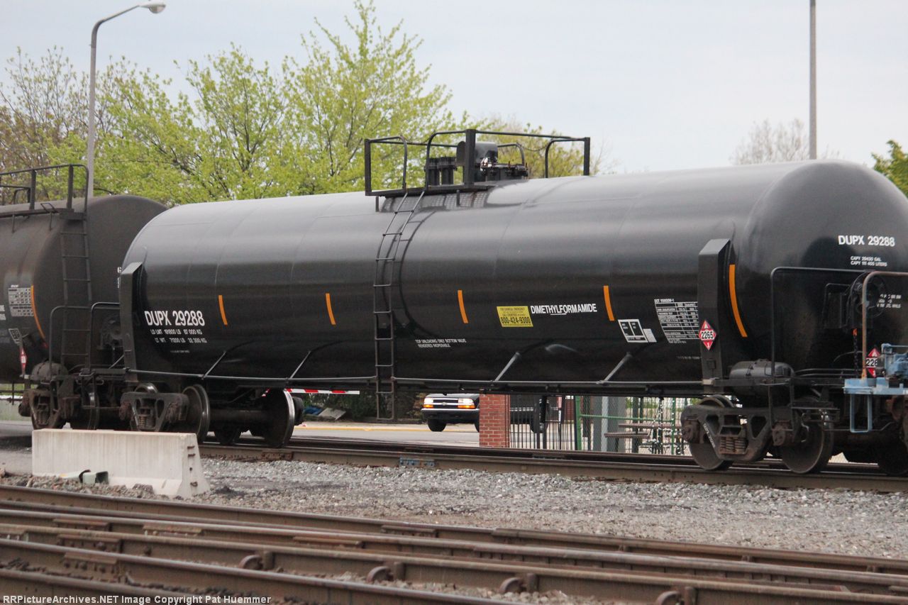 DUPX 29288