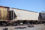 TRNX 500524
