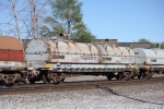 NS 168447