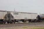 NS 255039