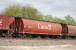 CN 109334