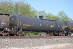 UTLX 954798