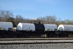 SBLX 24204